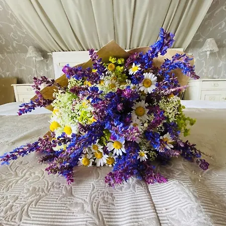 Barackvirag Apartmanhaz Lejlighed Tihany