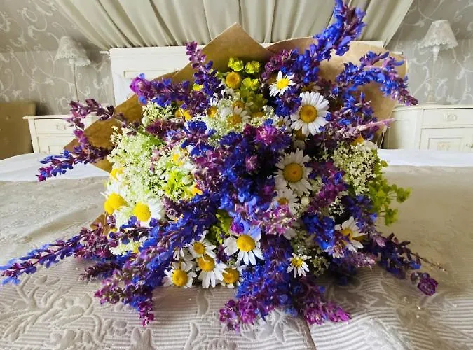 Barackvirag Apartmanhaz Apartmán Tihany